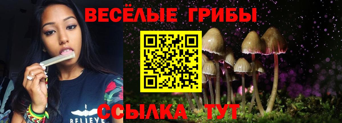Галлюциногенные грибы Magic Shrooms  Вход с VPN  Азнакаево  Галлюциногенные грибы Cubensis 